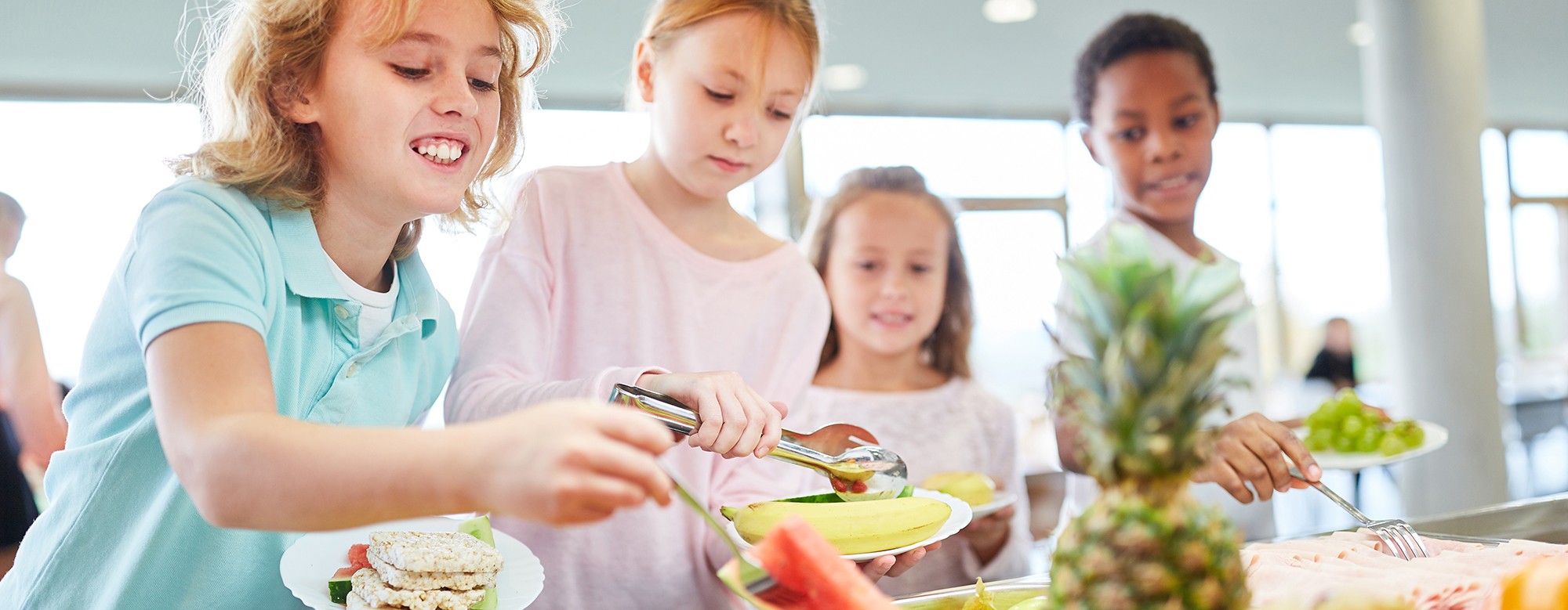 entreprise de création logiciels de cantine écoles